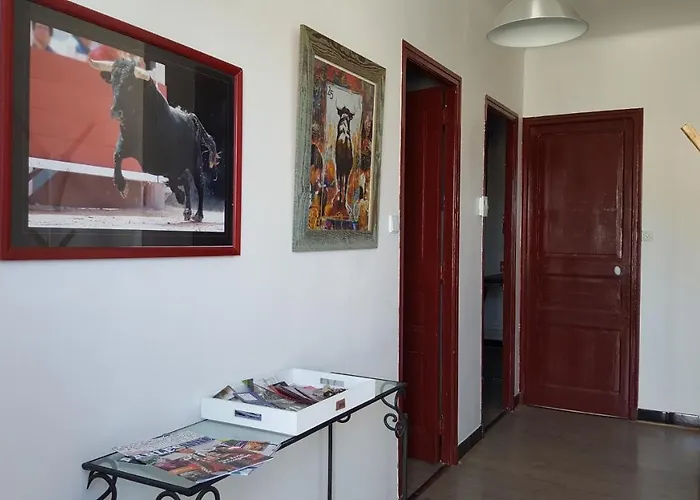 Appartement Avec Terrasse Quartier Montplaisir
