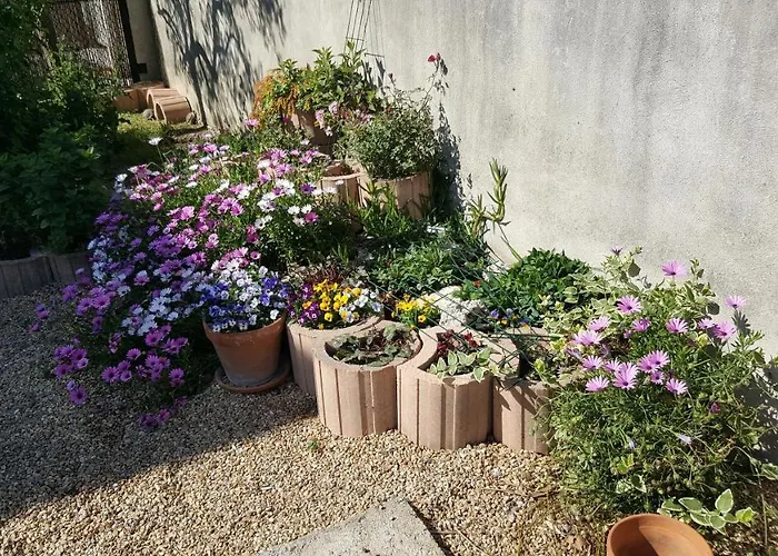 Appartement Avec Terrasse Quartier Montplaisir