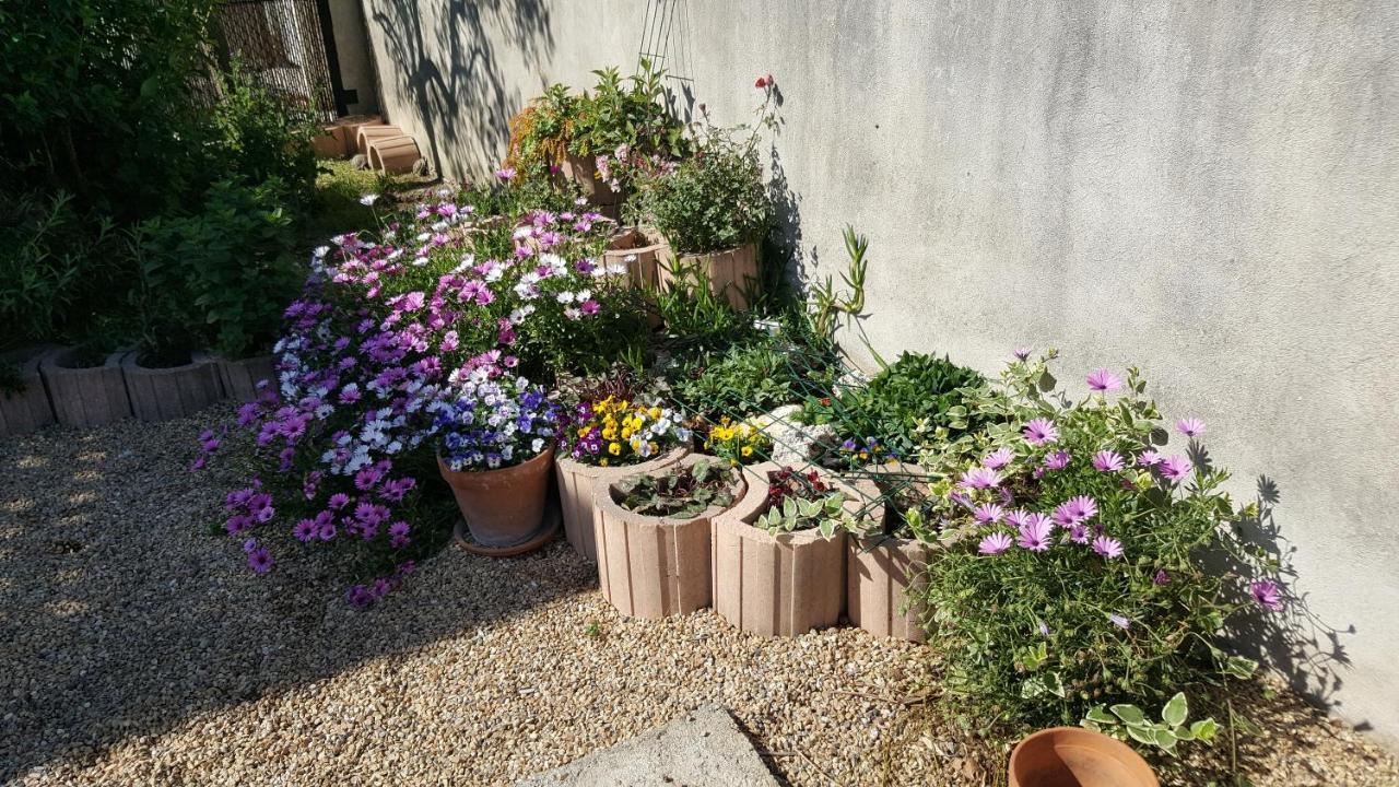 Avec Terrasse Quartier Montplaisir Apartment Arles